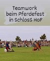 Pferdefest am 02.09